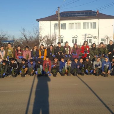 un copil un bradut 3